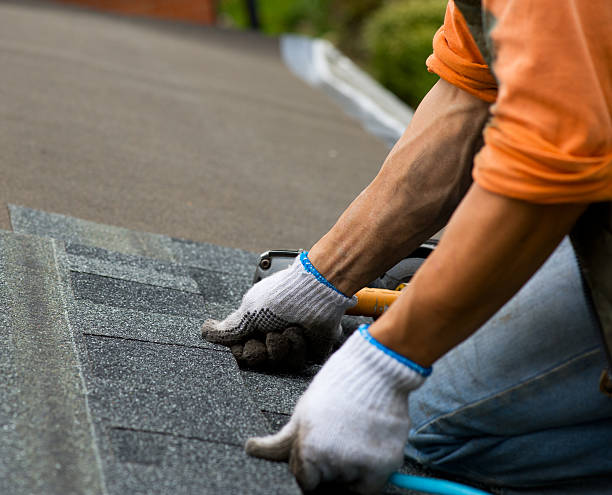 Best Storm Damage Roof Repair  in Elba, AL