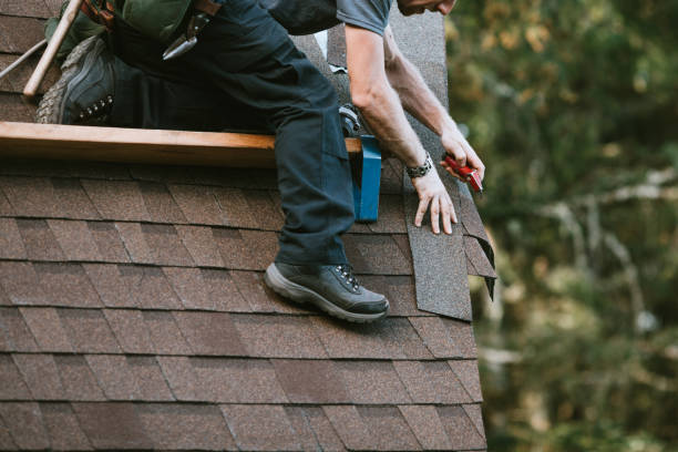 Best Gutter Installation and Roofing  in Elba, AL